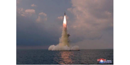 Japan: misjudgment, withdrawal